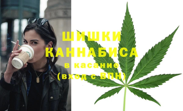 твердый Балахна