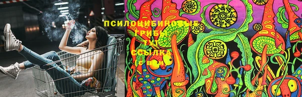 apvp Балабаново