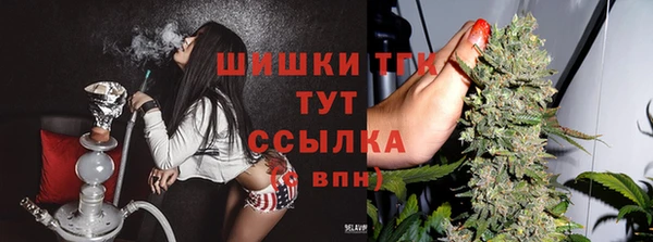 apvp Балабаново