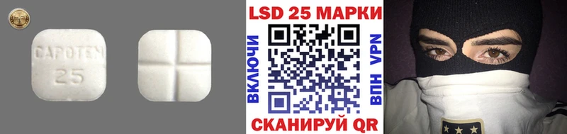 omg рабочий сайт  darknet Telegram  ЛСД экстази ecstasy  Кондрово 