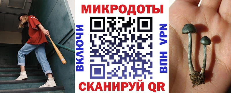 мориарти клад  Кондрово  Галлюциногенные грибы Cubensis 